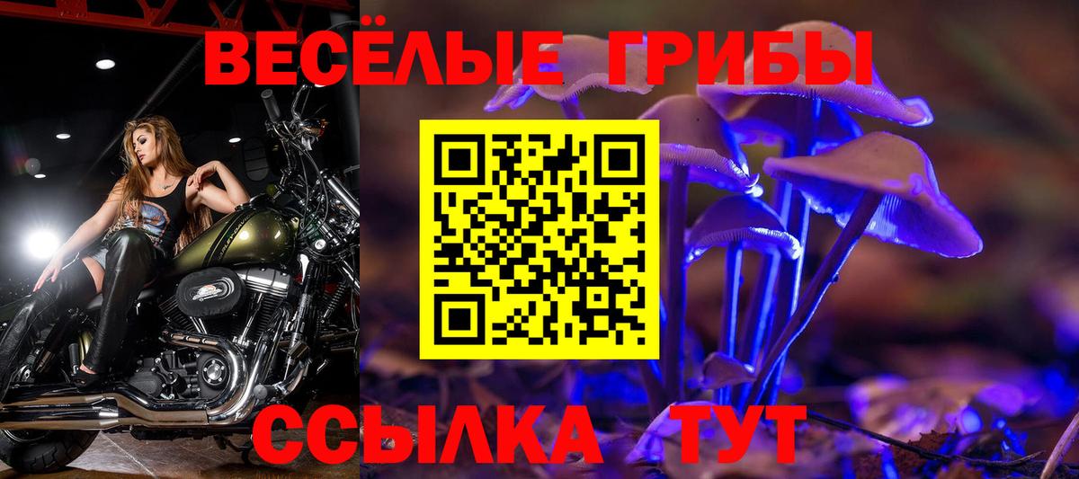 Красноярск  Галлюциногенные грибы прущие грибы  Псилоцибиновые грибы ЛСД  Вход с VPN 