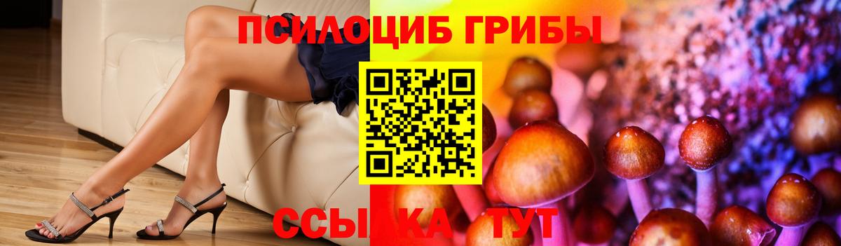 Галлюциногенные грибы Cubensis Красноярск